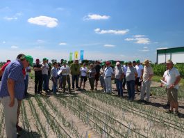Forum Doradców Warzywniczych w Bedlnie