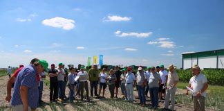 Forum Doradców Warzywniczych w Bedlnie