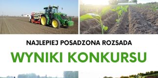Najlepiej posadzona rozsada. WYNIKI KONKURSU