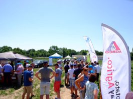 Skuteczna ochrona ziemniaka