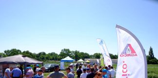 Skuteczna ochrona ziemniaka