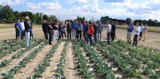 12 gatunków warzyw i kombinacje nawożeniowe. Szkolenie 17.09.2019- Demo Farma