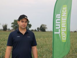 Podsumowanie programu ochrony cebuli 2019