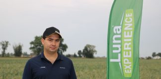 Podsumowanie programu ochrony cebuli 2019