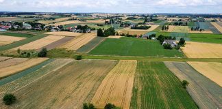 Charsznickie Dni Kapusty 2019 i przewodnik po odmianach kapusty