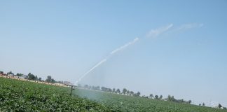 Deszczownie szpulowe – o czym warto pamiętać?