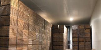 Minimalizacja strat podczas przechowywania ziemniaków