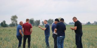 Udana cebula w trudnym sezonie