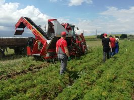 Uwaga! Kombajn ALINA SUPERNOVA, model 2019, w super cenie! -pokaz w Charsznicy