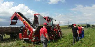 Uwaga! Kombajn ALINA SUPERNOVA, model 2019, w super cenie! -pokaz w Charsznicy