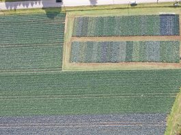 Rozwój małych gospodarstw – nabór wystartował