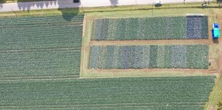 Rozwój małych gospodarstw – nabór wystartował