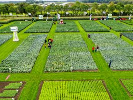 Pola pełne innowacji – Syngenta w Holandii