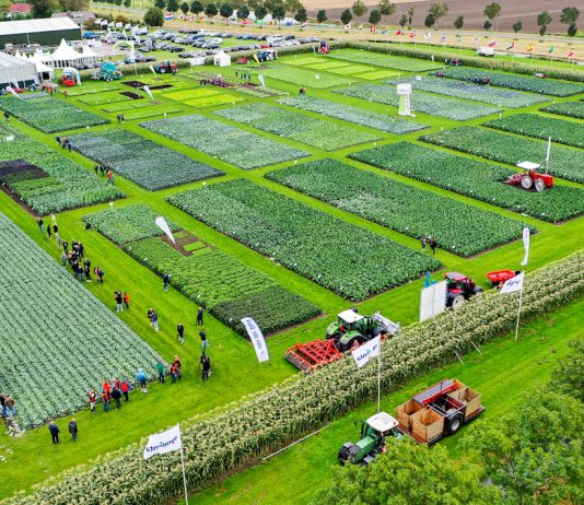 Fields of Innovation 2021 firmy Syngenta w tym roku wirtualnie i na żywo