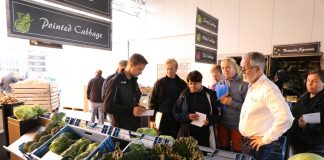 Rynkowe akcenty podczas Hazera Experience Days 2019