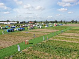 Potato Days Poland Udanin 2019