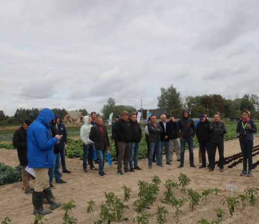 Demo Farma Timac Agro Polska – jesienna lustracja kwater