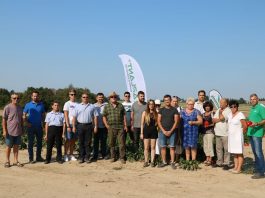 Uprawa papryki w gruncie – fotogaleria