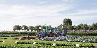 Zapraszamy na pokazy warzyw w Holandii w dniach 24-26 września