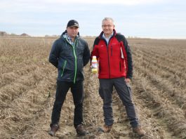 Trudny sezon 2019. Co z warzywami w chłodniach i przechowalniach?