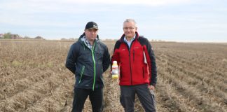 Nowa, skuteczna metoda zwalczania chwastów w uprawie ziemniaków i nie tylko