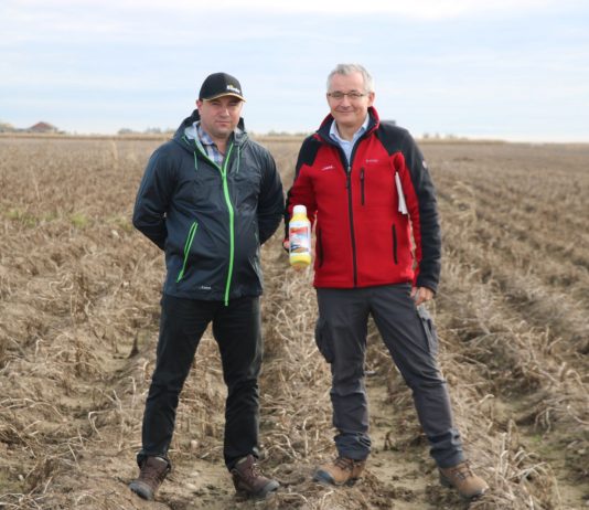 Nowa, skuteczna metoda zwalczania chwastów w uprawie ziemniaków i nie tylko