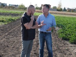 Polska powinna podnieść prestiż zawodu rolnika