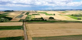 Wapnowanie ważne jesienią