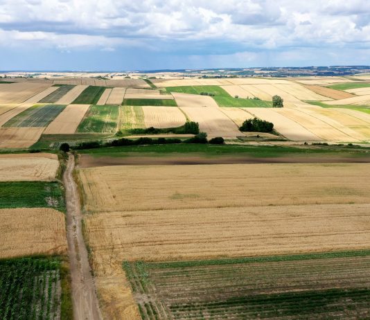 Wapnowanie ważne jesienią