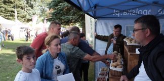 Ziemniaki lilly – opinie, smak, charakterystyka, do czego? Solana, Sunshine, Red Lady, Queen Anne, Belmonda, Noya ziemniaki noya opis