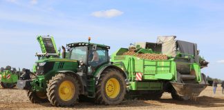 Zbiory ziemniaków w 2019 roku