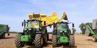 McCain pomoże angielskim producentom ziemniaków