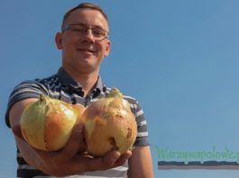 Niskie plony cebuli napędzają import