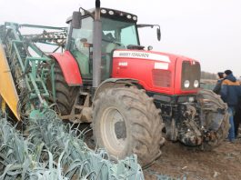 Kompleksowo o uprawie i zbiorze porów, cz. I