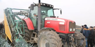 Kompleksowo o uprawie i zbiorze porów, cz. I