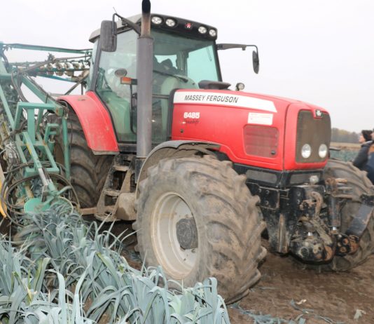 Kompleksowo o uprawie i zbiorze porów, cz. I