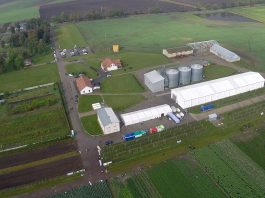 Kary od 5000 zł do 1 mln zł za brak wpisu do BDO dotyczy części rolników