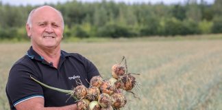 Czym się kierować przy wyborze odmiany cebuli? ( Cz. 1)