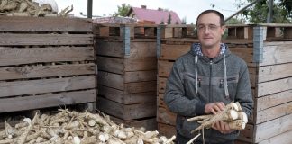 Pietruszka – satysfakcja z pracy jest najważniejsza (cz.I)