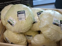 Ekologiczna produkcja coraz więcej możliwości. Nowe produkty i ich zastosowanie