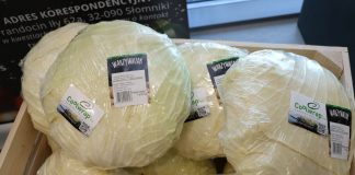 Ekologiczna produkcja coraz więcej możliwości. Nowe produkty i ich zastosowanie