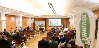 Ekologiczna uprawa marchwi w Wielkiej Brytanii (cz. I)