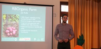 Ekologiczna uprawa marchwi w Wielkiej Brytanii (cz. II) – profesjonalne uprawy