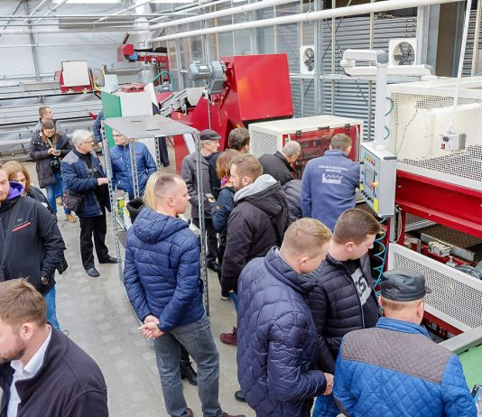 Technologia siewu i produkcji rozsad sałaty