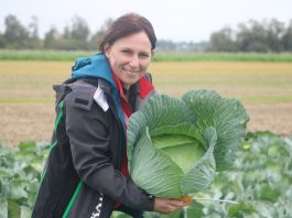 Dynie piżmowe, groszek sojowy, rzodkiew japońska i więcej