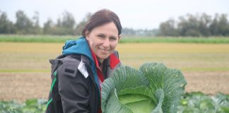 Dynie piżmowe, groszek sojowy, rzodkiew japońska i więcej