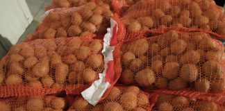 Zmiany na rynków ziemniaków. Czy będzie kryzys?