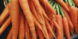 Odmiany marchwi na wczesny zbiór – zestawienie odmian marchew wczesna