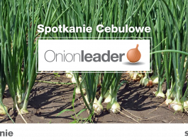 Spotkanie Cebulowe Onion Leder już 14 lutego!