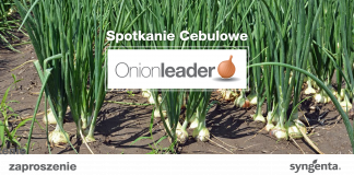Spotkanie Cebulowe Onion Leder już 14 lutego!